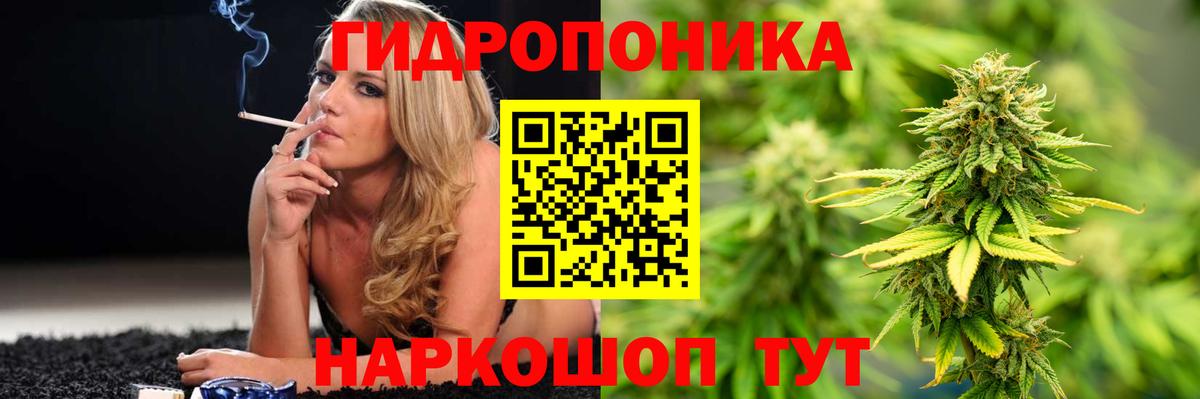 Шишки марихуана White Widow  Вход с VPN  Марихуана Amnesia  Тольятти 